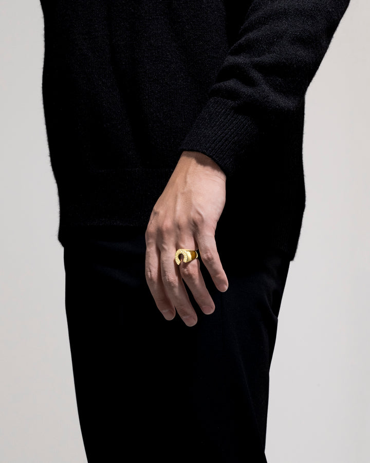 316L hawaiian horseshoe ring ＃R52
