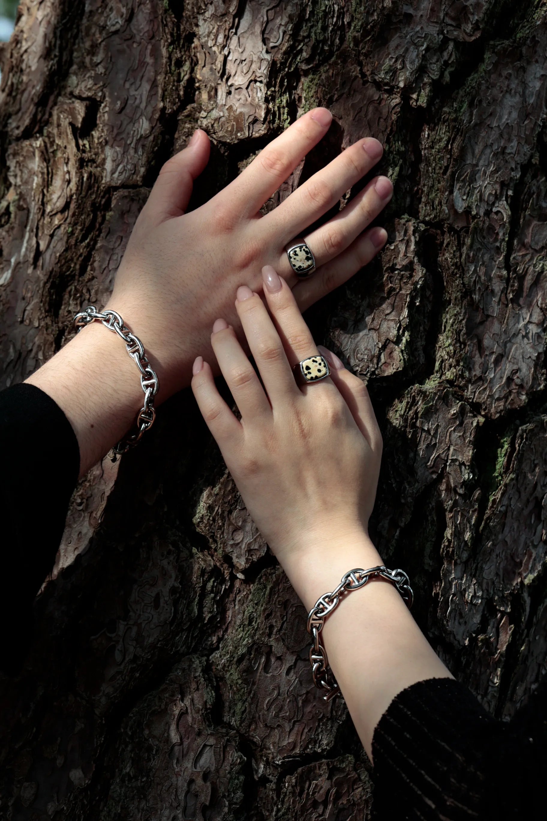 LOSE FORD – LOSE FORD LOSE FORD – LOSE FORD