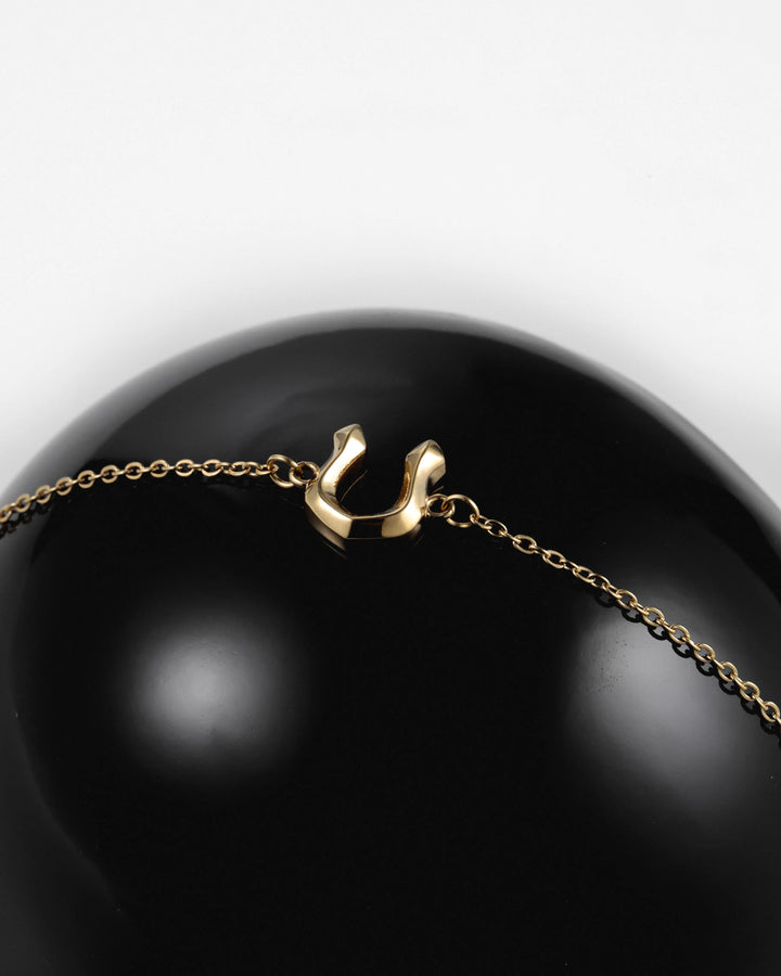 316L horseshoe necklace #N65