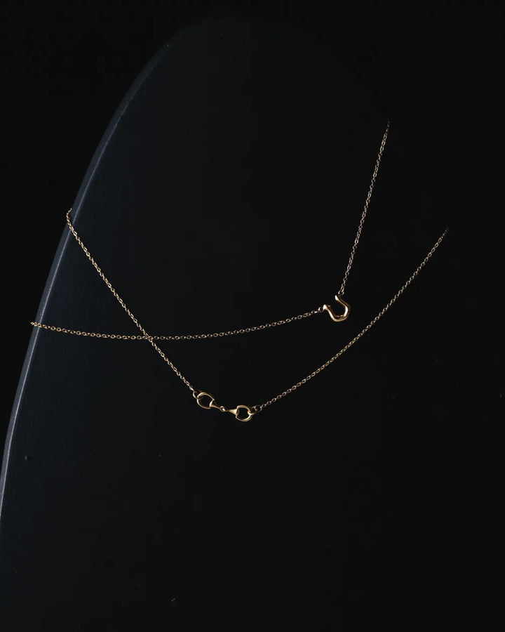 316L horseshoe necklace #N65