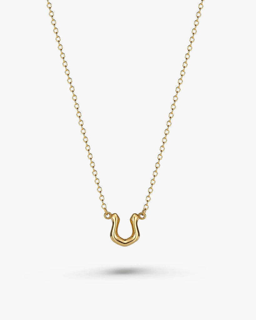 316L horseshoe necklace #N65 – LOSE FORD